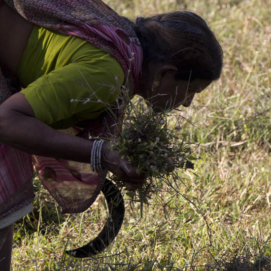 India
